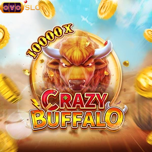 crazy buffalo