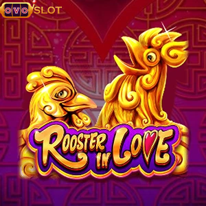 roosterinlove