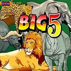 big 5 free slot