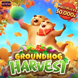 Ground Hog Harvest