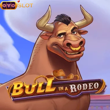 Bull In Orodeo